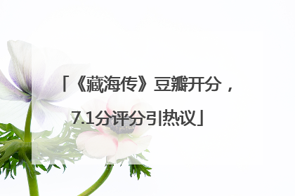 《藏海传》豆瓣开分，7.1分评分引热议