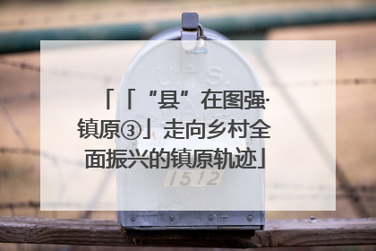 「“县”在图强·镇原③」走向乡村全面振兴的镇原轨迹