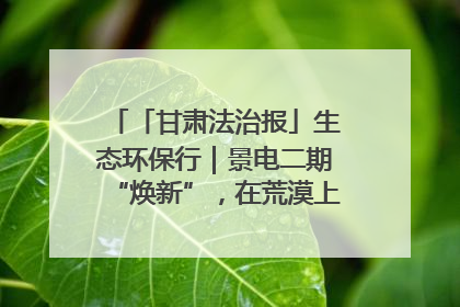「甘肃法治报」生态环保行｜景电二期“焕新”，在荒漠上筑起一道绿色长城