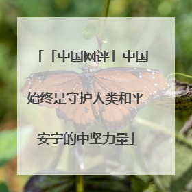「中国网评」中国始终是守护人类和平安宁的中坚力量