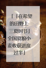 「在希望的田野上·三夏时节」全国夏粮小麦收获进度过半