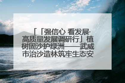 「强信心 看发展·高质量发展调研行」植树固沙护绿洲——武威市治沙造林筑牢生态安全屏障见闻