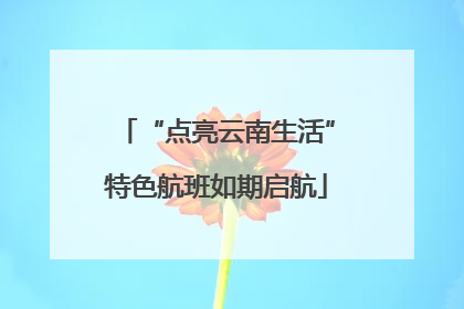 “点亮云南生活”特色航班如期启航