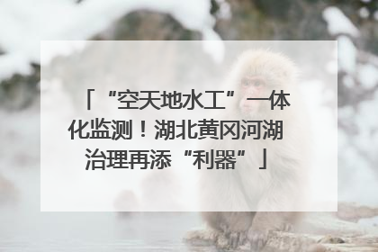 “空天地水工”一体化监测！湖北黄冈河湖治理再添“利器”