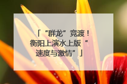 “群龙”竞渡！衡阳上演水上版“速度与激情”