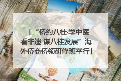“侨约八桂·学中医 看非遗 谋八桂发展”海外侨商侨领研修班举行