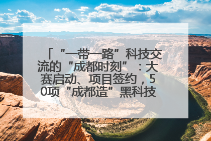 “一带一路”科技交流的“成都时刻”：大赛启动、项目签约，50项“成都造”黑科技吸引多国客商