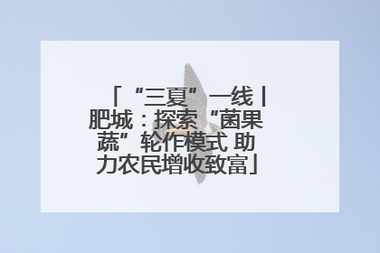 “三夏”一线丨肥城：探索“菌果蔬”轮作模式 助力农民增收致富