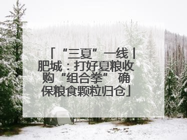 “三夏”一线丨肥城：打好夏粮收购“组合拳” 确保粮食颗粒归仓