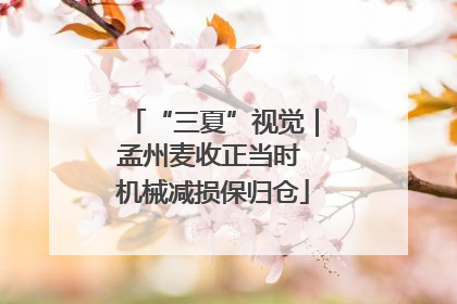 “三夏”视觉｜孟州麦收正当时 机械减损保归仓
