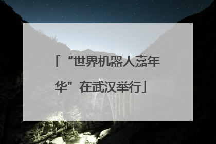 “世界机器人嘉年华”在武汉举行