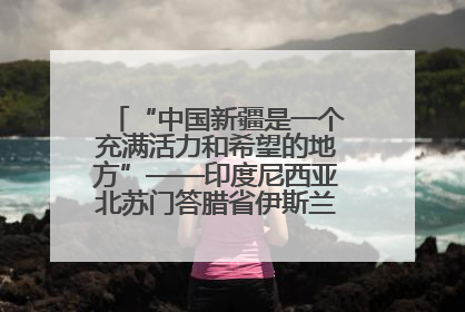 “中国新疆是一个充满活力和希望的地方”——印度尼西亚北苏门答腊省伊斯兰教代表团参访新疆