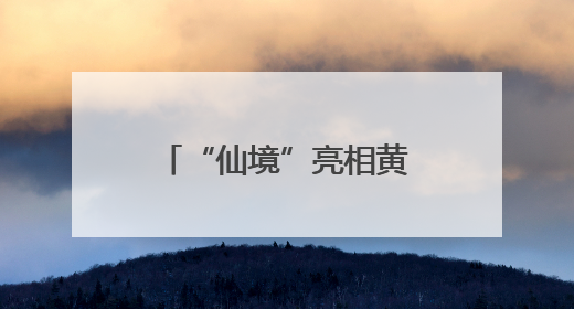 “仙境”亮相黄浦江畔，三大优惠游玩政策等你来