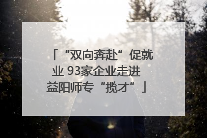 “双向奔赴”促就业 93家企业走进益阳师专“揽才”