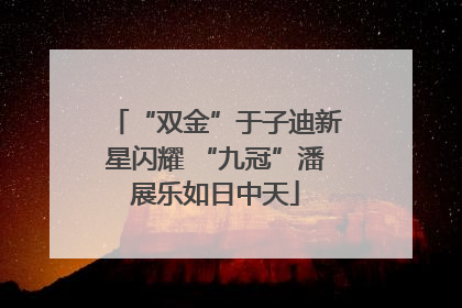 “双金”于子迪新星闪耀 “九冠”潘展乐如日中天