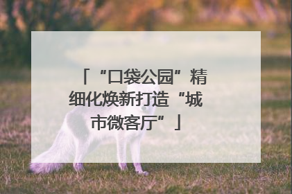 “口袋公园”精细化焕新打造“城市微客厅”