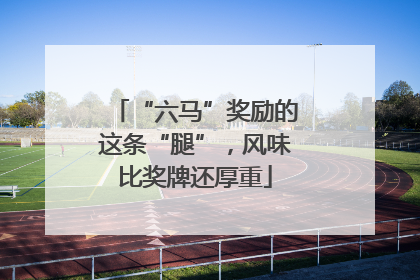 “六马”奖励的这条“腿”，风味比奖牌还厚重