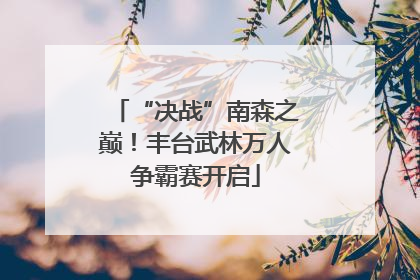 “决战”南森之巅！丰台武林万人争霸赛开启