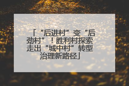 “后进村”变“后劲村”！胜利村探索走出“城中村”转型治理新路径