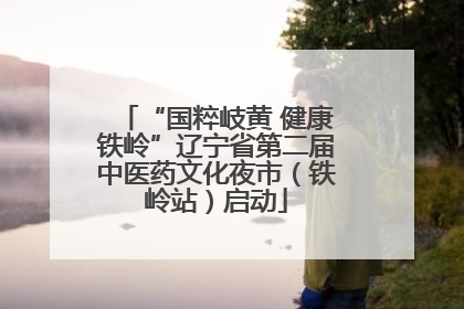 “国粹岐黄 健康铁岭”辽宁省第二届中医药文化夜市（铁岭站）启动