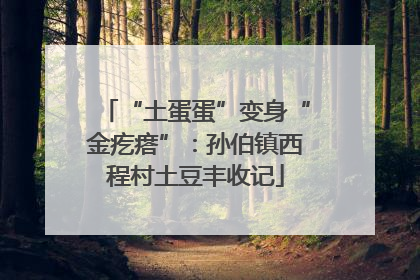 “土蛋蛋”变身“金疙瘩”：孙伯镇西程村土豆丰收记