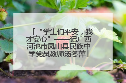 “学生们平安，我才安心”——记广西河池市凤山县民族中学党员教师汤冬萍