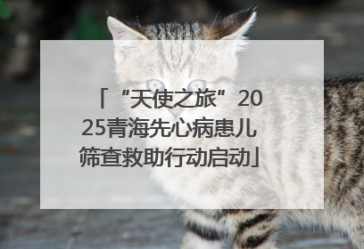 “天使之旅”2025青海先心病患儿筛查救助行动启动
