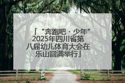 “奔跑吧・少年”2025年四川省第八届幼儿体育大会在乐山圆满举行