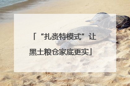“扎赉特模式”让黑土粮仓家底更实