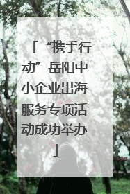 “携手行动”岳阳中小企业出海服务专项活动成功举办