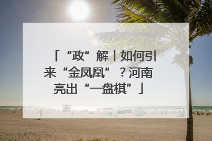 “政”解丨如何引来“金凤凰”？河南亮出“一盘棋”