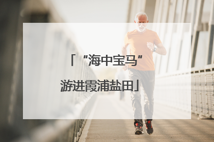 “海中宝马”游进霞浦盐田