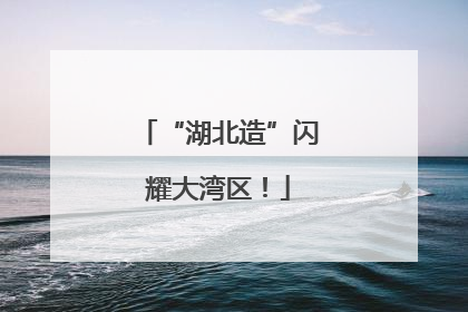 “湖北造”闪耀大湾区！