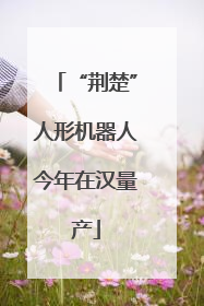 “荆楚”人形机器人今年在汉量产