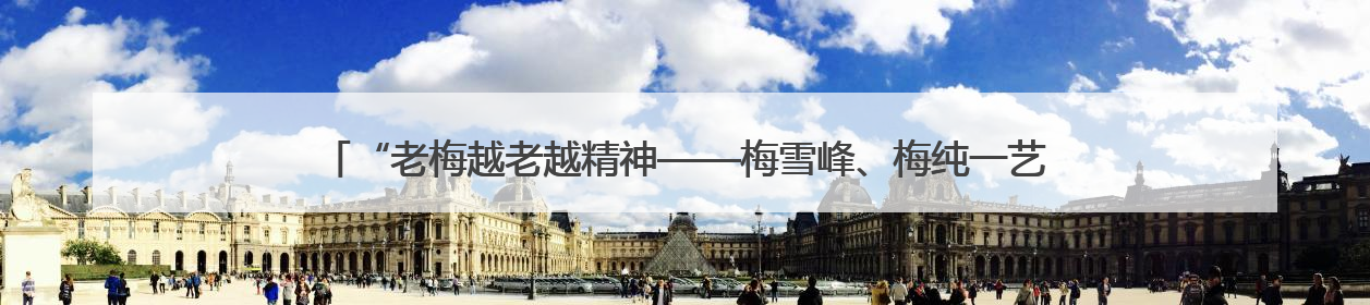 “老梅越老越精神——梅雪峰、梅纯一艺术研究展”研讨会在安徽省美术馆召开