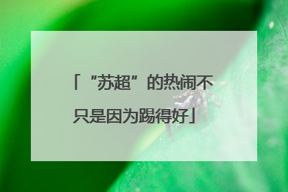 “苏超”的热闹不只是因为踢得好