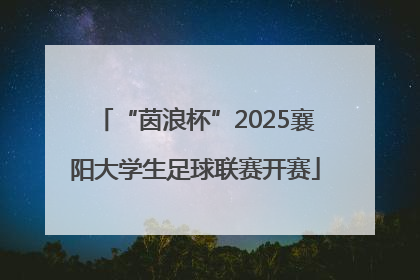 “茵浪杯”2025襄阳大学生足球联赛开赛
