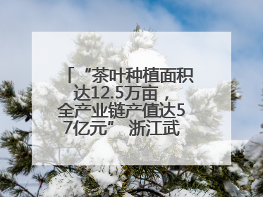 “茶叶种植面积达12.5万亩，全产业链产值达57亿元” 浙江武义茶产业全链发展“加速度”