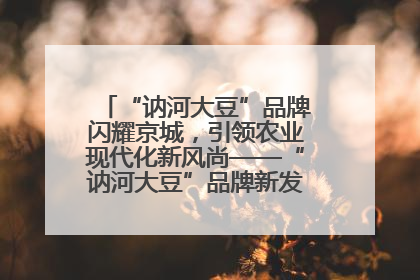 “讷河大豆”品牌闪耀京城，引领农业现代化新风尚——“讷河大豆”品牌新发地推介会圆满落幕