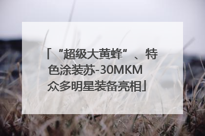 “超级大黄蜂”、特色涂装苏-30MKM 众多明星装备亮相