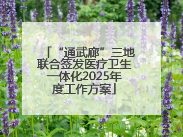 “通武廊”三地联合签发医疗卫生一体化2025年度工作方案