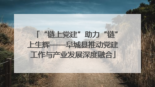 “链上党建”助力“链”上生辉——阜城县推动党建工作与产业发展深度融合