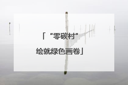“零碳村” 绘就绿色画卷