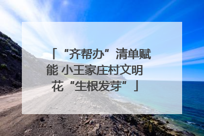 “齐帮办”清单赋能 小王家庄村文明花“生根发芽”