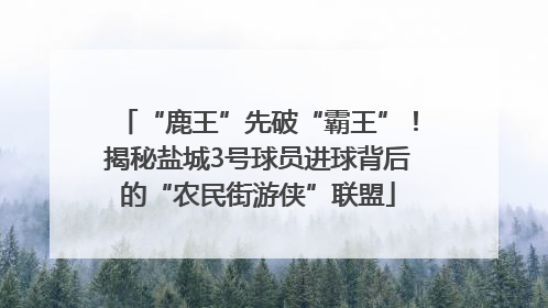 “鹿王”先破“霸王”！揭秘盐城3号球员进球背后的“农民街游侠”联盟