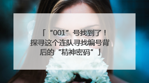 “001”号找到了！探寻这个连队寻找编号背后的“精神密码”
