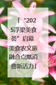 “2025浮梁美食荟”启幕 美食农文旅融合点燃消费新活力