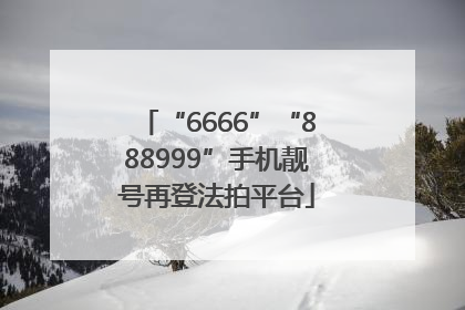 “6666”“888999”手机靓号再登法拍平台