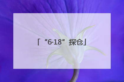 “6·18”探仓