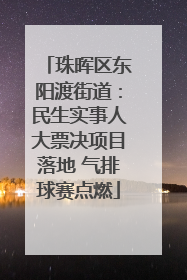 珠晖区东阳渡街道：民生实事人大票决项目落地 气排球赛点燃